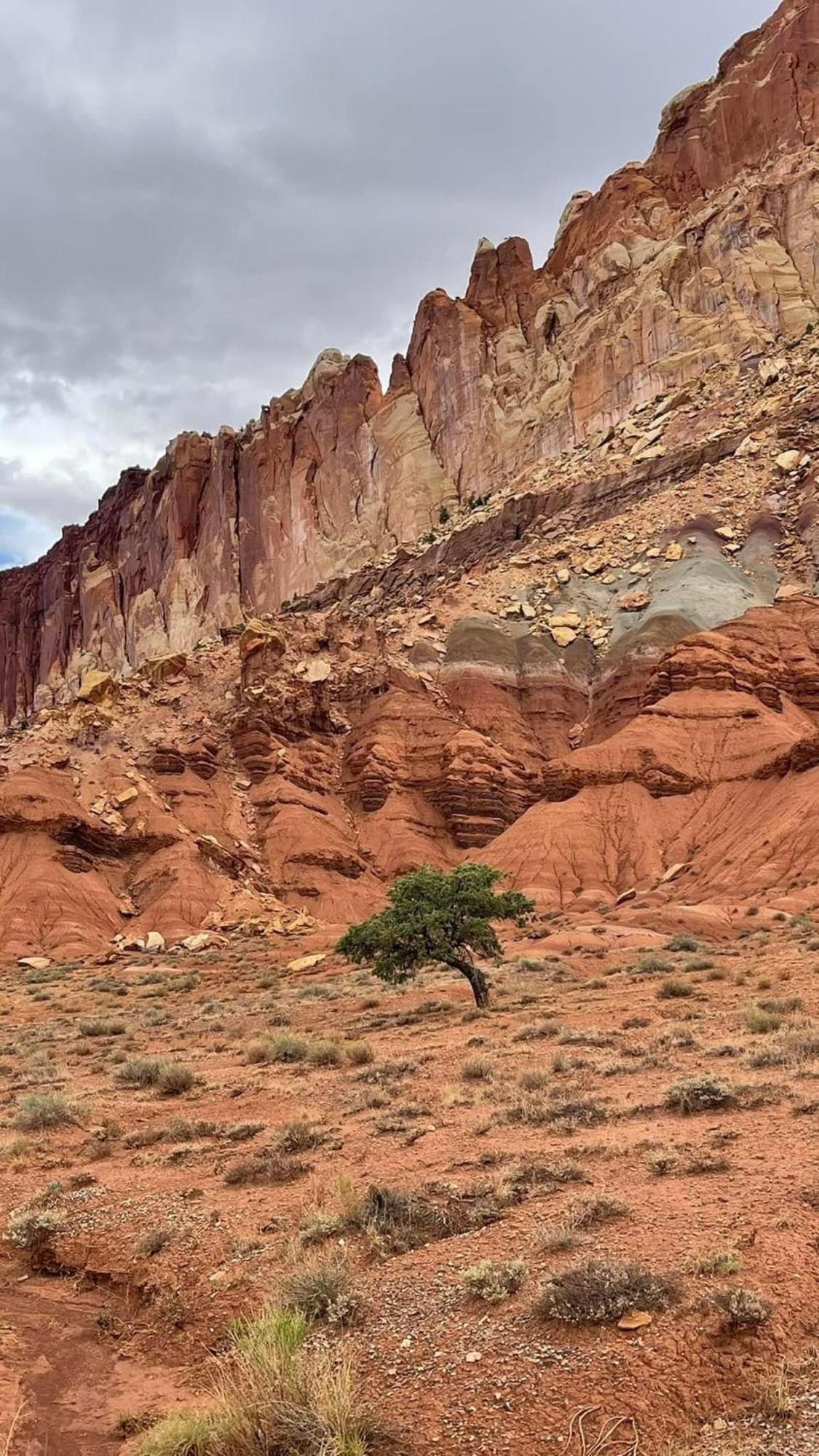Bryce'S Zion House By Bryce Canyon National Park! Panguitch Luaran gambar